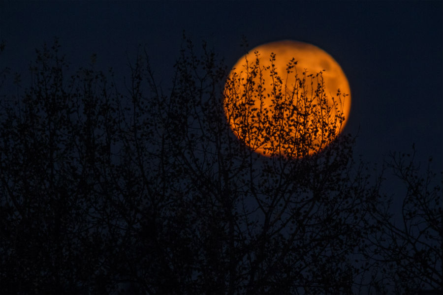 Cele mai frumoase ipostaze ale lunii, in poze superbe - Poza 15