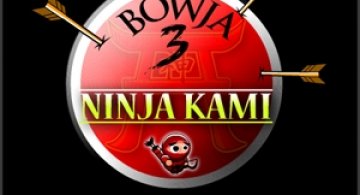 Play: Ninja Kami