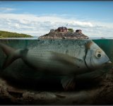 Fishy Island by Erik Johansson