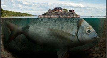 Fishy Island by Erik Johansson