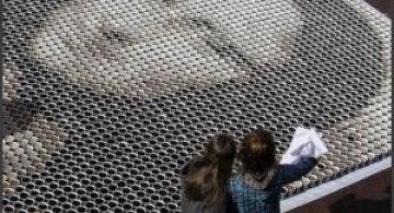 Ce este asta? Mona Lisa?