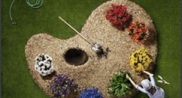 30 de imagini creative