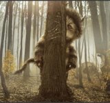 Where The Wild Things Are