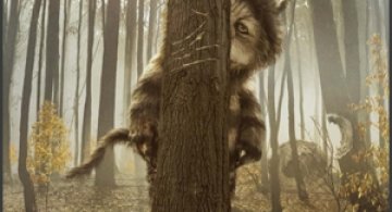 Where The Wild Things Are