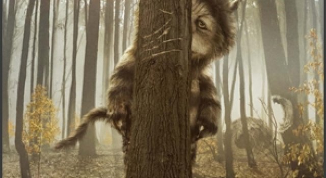 Where The Wild Things Are