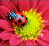 Natura, in toata splendoarea ei