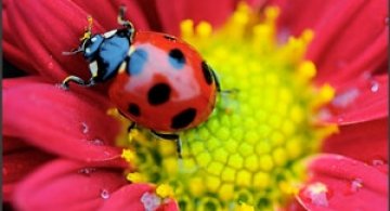 Natura, in toata splendoarea ei