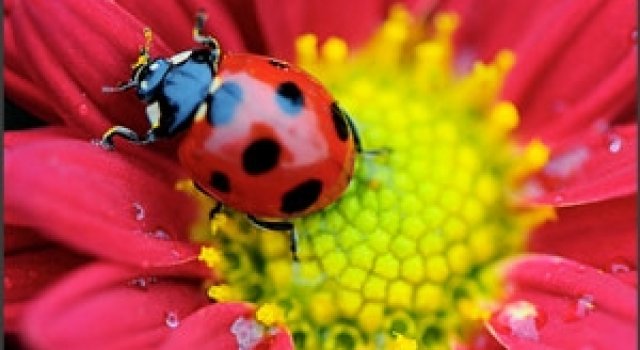 Natura, in toata splendoarea ei