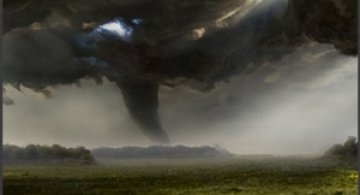 Peisaje in miniatura