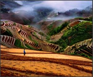 Va place China?