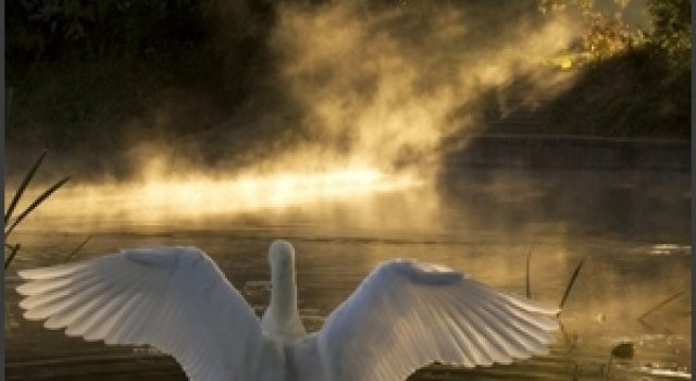 Momente unice: 34 de fotografii superbe