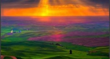49 de wallpapere superbe inspirate din natura