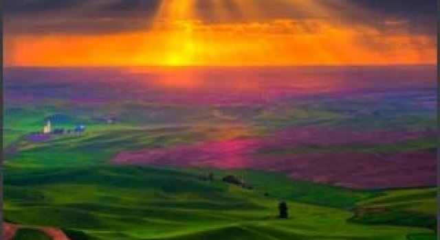49 de wallpapere superbe inspirate din natura