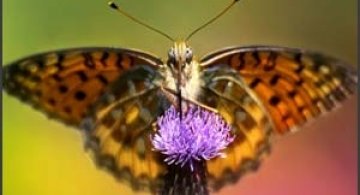 25 de fotografii impresionante marca Maria Llorens