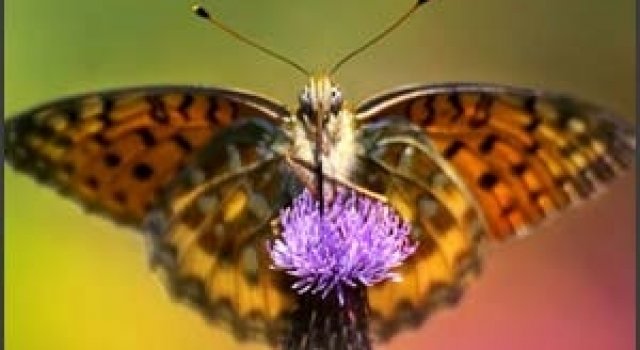 25 de fotografii impresionante marca Maria Llorens