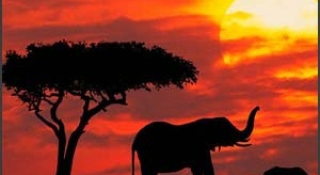 Taramuri mirifice: Kenya
