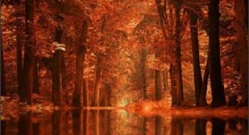 Noi fotografii superbe semnate Sortvind