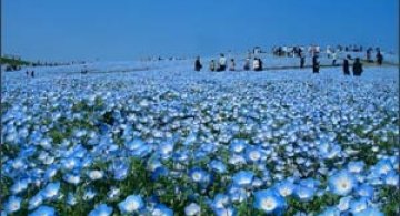 Cand cerul atinge pamantul