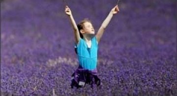 Culturile de levantica din Anglia