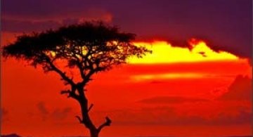 70 poze uluitoare: Trebuie sa le vezi!