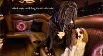 Cele mai tari reclame premiate la Cannes