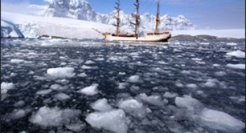 De vis: 35 de fotografii impresionante