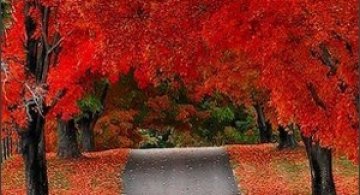 Ai vrea sa mergi pe aceste drumuri?