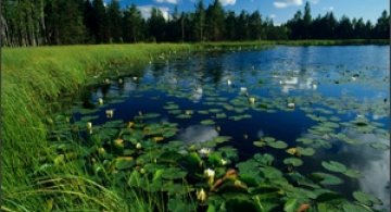 Natura surprinsa in fotografii: patru anotimpuri