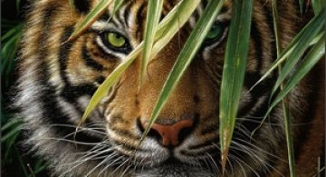 Va vine sa credeti...