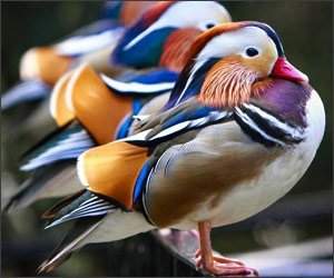 Magia unei lumi: 25 de fotografii NatGeo