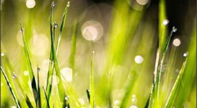 Natura in 25 de fotografii superbe