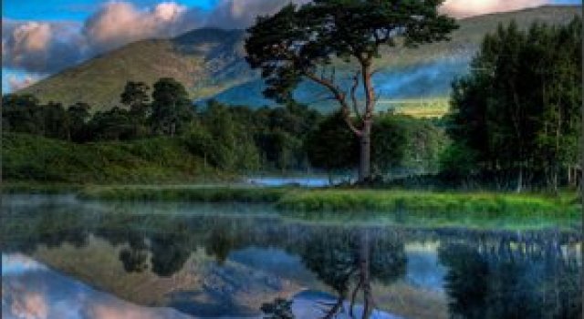 23 de fotografii superbe de David Mould