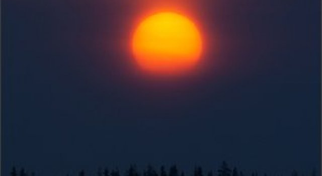 Natura in 25 de fotografii extraordinare