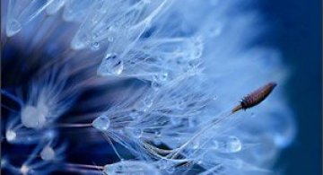 27 de fotografii fermecatoare de Samantha Meglioli