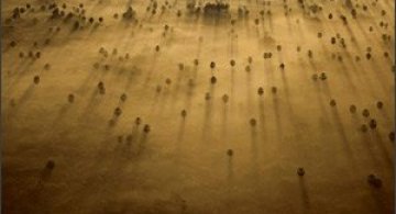 20 de fotografii facute de sus: Robert B. Haas