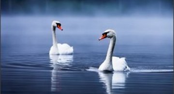 Natura in 22 de fotografii superbe