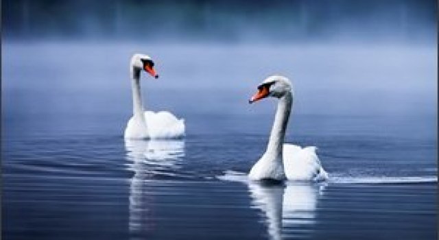 Natura in 22 de fotografii superbe