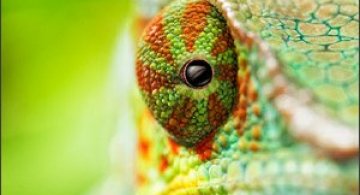 20 de fotografii extraordinare!