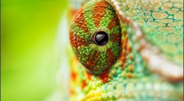 20 de fotografii extraordinare!