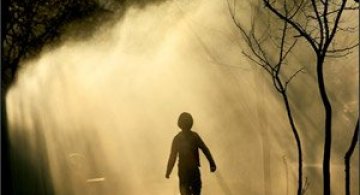 30 de fotografii minunate de Sorin Onisor