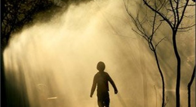 30 de fotografii minunate de Sorin Onisor