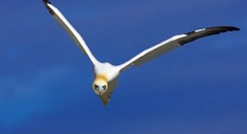 Spectacolul naturii in 25 de fotografii