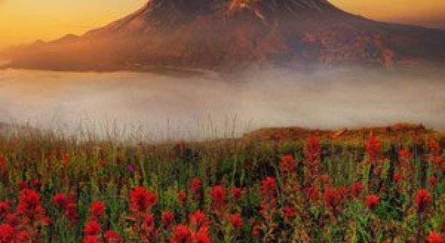 23 de peisaje grozave de Kevin McNeal