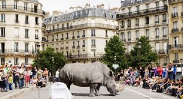 Jungla urbana din fotografiile lui Renaud Marion