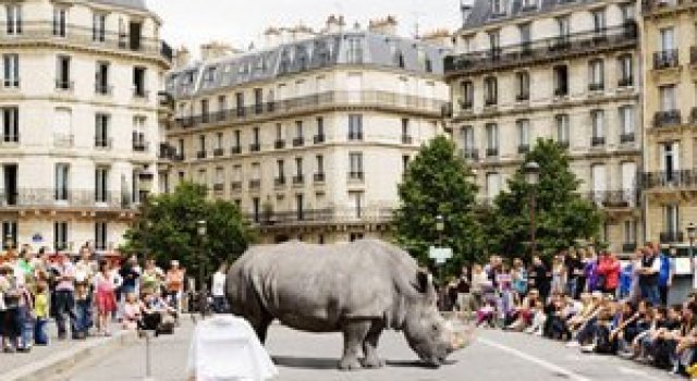 Jungla urbana din fotografiile lui Renaud Marion