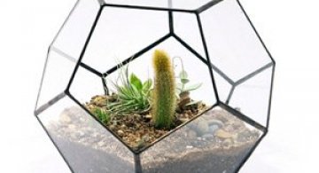 Desert la pachet de la Score + Solder
