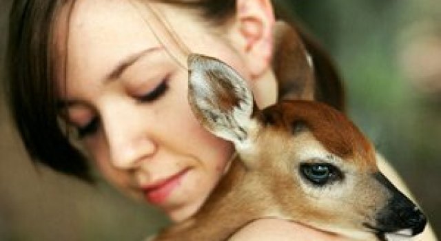Bambi si Emmy Lee