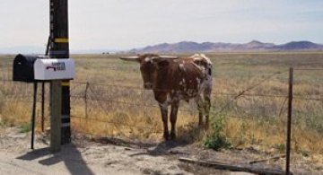 L-ati vazut cumva pe Ed Panar?