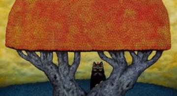 Ce poveste spune Andy Kehoe?