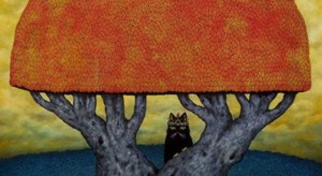 Ce poveste spune Andy Kehoe?